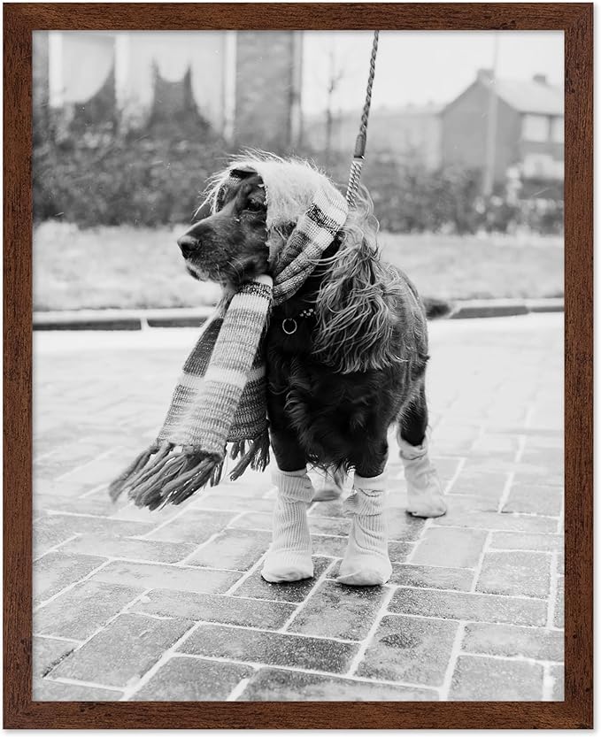Poster Master Dog Dressed for Winter Print by PosterMaster