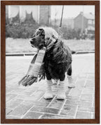 Poster Master Dog Dressed for Winter Print by PosterMaster