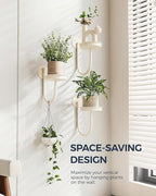 Bamworld Wall Plant Holder Wall Planters - Image 2