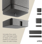 Umbra Cubiko Wall Planter with 4 Lightweight and Durable Pots - Image 5