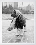 Poster Master Dog Dressed for Winter Print by PosterMaster