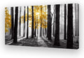 Cao Gen Decor Art S06362 Wall Art Canvas Painting Yellow Tree in Black and by Cao+Gen+Decor+Art