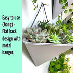 LaLaGreen Wall Planters - Image 8