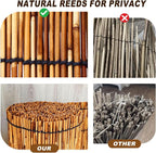 Natural Reed Fencing, Decorative Bamboo Fence Rolls Handwoven Friendly Sun Shade - Image 7