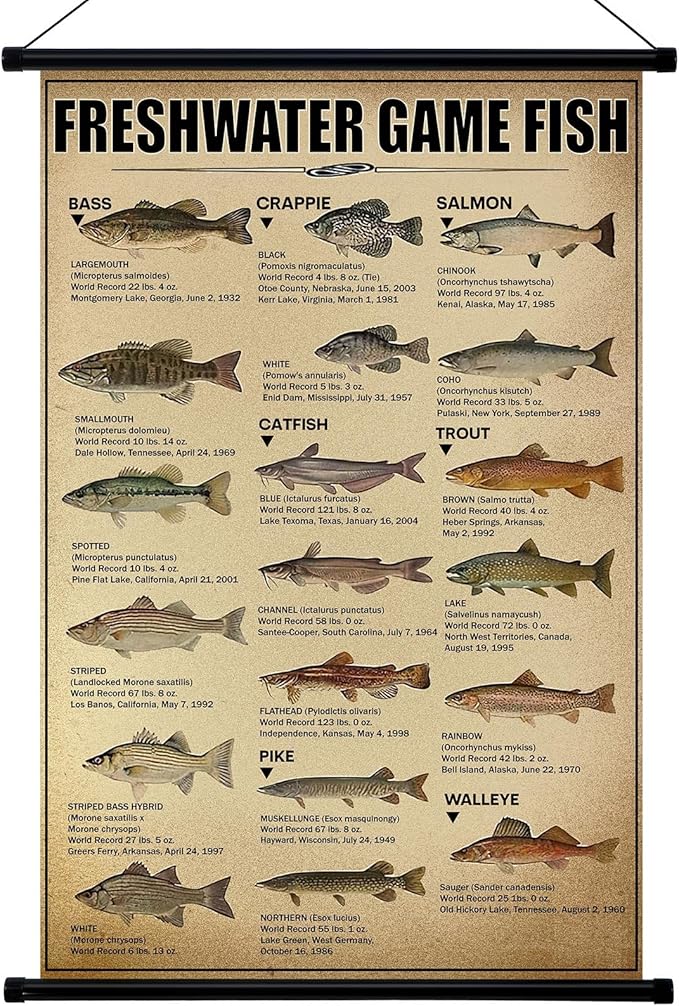 Geyee Fish Vintage Poster Wall Decor Mallard Ducks Hunting Art Knowledge by Geyee