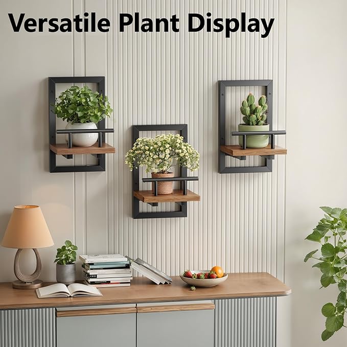 Sbosbo Floating Shelves for Wall, Plant Shelf Indoor, Wall Planters for Indoor - Image 4