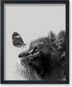 Poster Master Butterfly on Cat Poster by PosterMaster