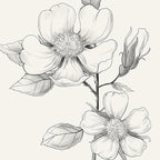 Framed Black and White Floral Wall Art, 4 Piece Vintage Gray Botanical Canvas - Image 5