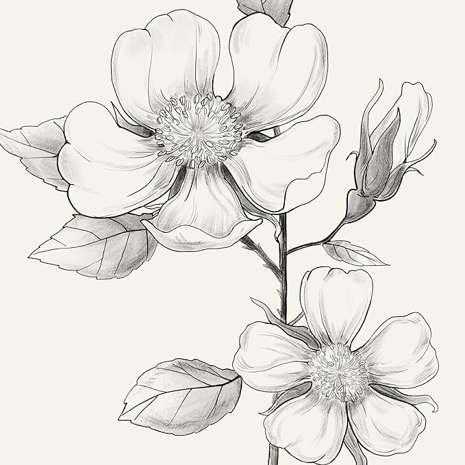 Framed Black and White Floral Wall Art, 4 Piece Vintage Gray Botanical Canvas - Image 5
