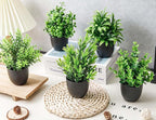 Der Rose Fake Plants 12 Pack Artificial Plants Small Faux Plants in Black Pot - Image 3