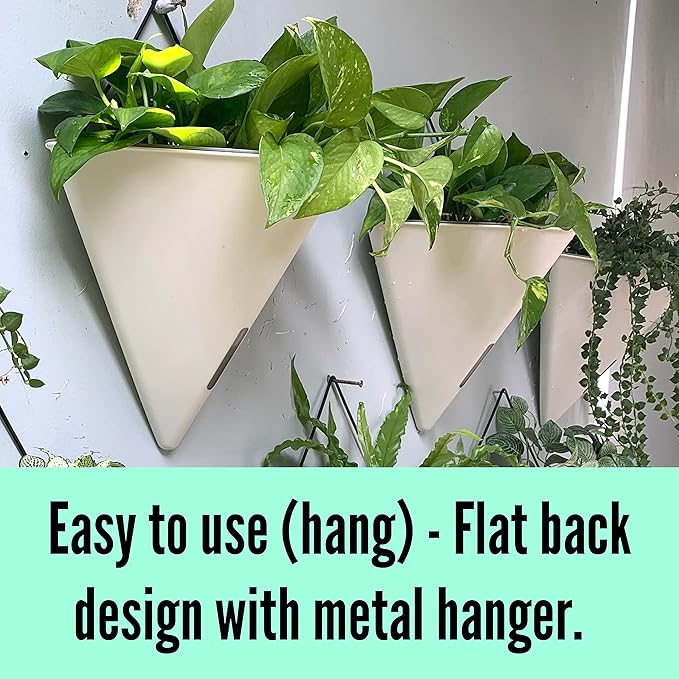 LaLaGreen Wall Planters for Indoor Plants - Image 6