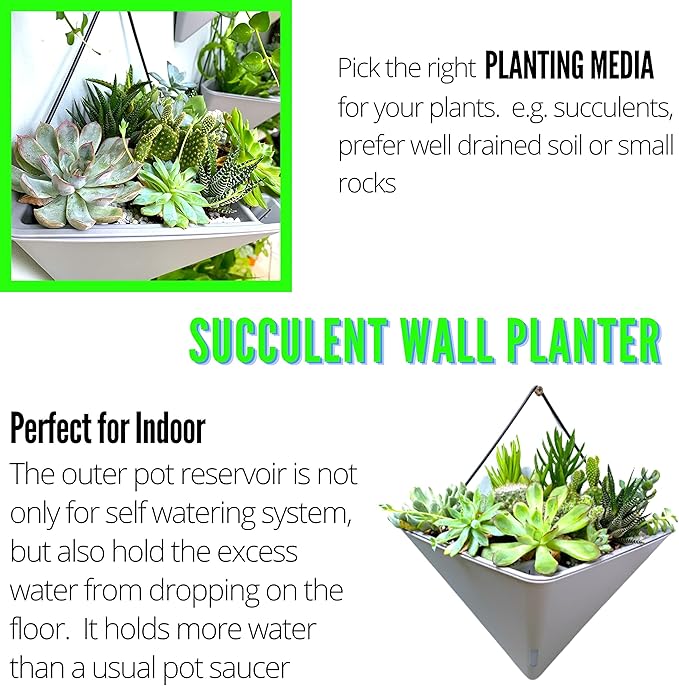 LaLaGreen Wall Planters - Image 6