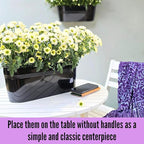 LaLaGreen Wall Planter Black Oval Metal Hanging Decor Plant Holder Indoor Wall - Image 8