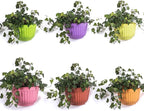 6 Pack Colorful Wall Hanging Planters - Image 7