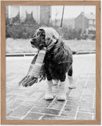 Poster Master Vintage Dog Dressed by PosterMaster