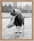 Poster Master Vintage Dog Dressed by PosterMaster