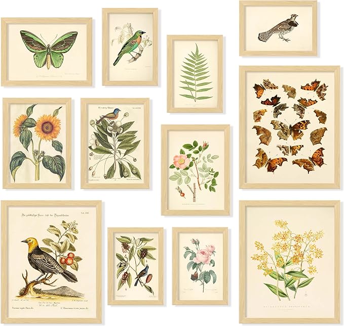 97 Decor FRAMED Vintage Botanical Prints Wall Art by 97Decor
