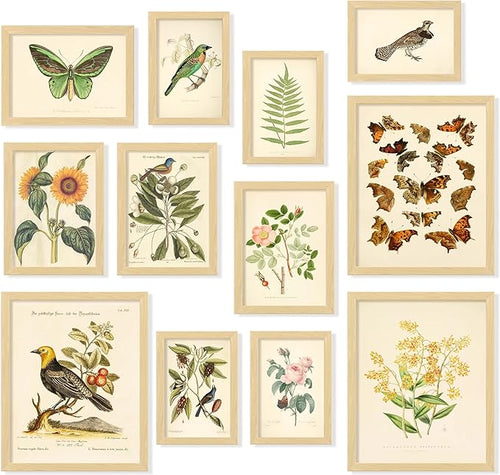 97 Decor FRAMED Vintage Botanical Prints Wall Art by 97Decor
