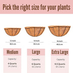 LaLaGreen Wall Hanging Planters, 2 Pack, 12 Inch Wall Mounted Flower Baskets - Image 6
