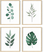 HAUS AND HUES Plant Wall Art by HausandHuesArtPrints