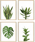 HAUS AND HUES Plant Wall Art by HausandHuesArtPrints