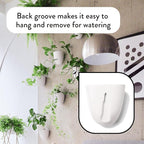 Make Good PlantPod Luxe Self-Watering Wall Planters - Image 4