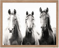 Poster Master Vintage Photograph Poster by PosterMaster