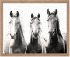 Poster Master Vintage Photograph Poster by PosterMaster