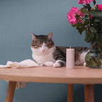 WADILE Grasscloth Peel and Stick Wallpaper 15.7in x 78.7in, Textured Contact - Image 7