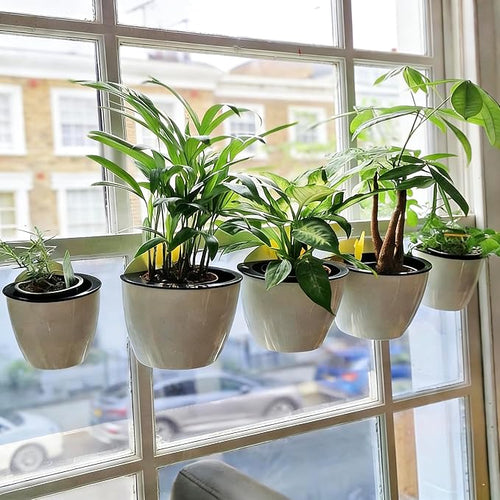 3 Pack Self Watering Wall Hanging Planter Pots Vertical Garden Window Hang - Image 2