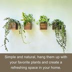 LaLaGreen Indoor Planter Box for Plants Small Square Wooden Wall Mounted - Image 8