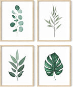 HAUS AND HUES Framed Botanical Wall Art by HausandHuesArtPrints