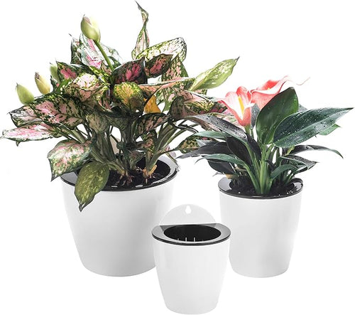 3 Pack Self Watering Wall Hanging Planter Pots Vertical Garden Window Hang by OrimercGarden