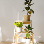 TANONE Contact Paper Peel and Stick 23.6" W X276 L, Grasscloth Wallpaper Self - Image 4