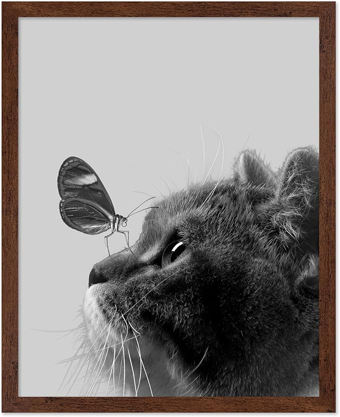 Poster Master Butterfly on Cat Print by PosterMaster