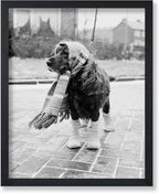 Poster Master Vintage Dog Dressed by PosterMaster