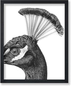 Poster Master Vintage Peacock Poster by PosterMaster