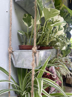 LaLaGreen Wall Hanging Planter - Image 3
