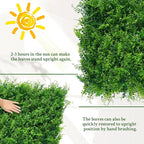 ODTORY Artificial Plants Hedge Wall Panels：20x20 Inch 8P UV-Anti Greenery - Image 7