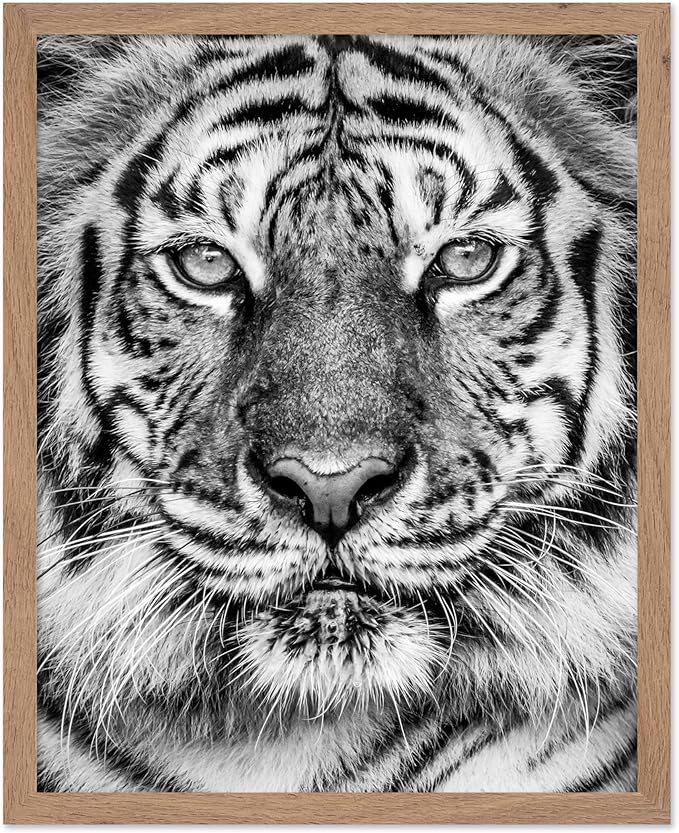 Poster Master Vintage Tiger Face Print by PosterMaster