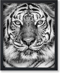 Poster Master Vintage Tiger Face Print by PosterMaster