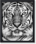 Poster Master Vintage Tiger Face Print by PosterMaster