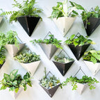 LaLaGreen Wall Planters for Indoor Plants - Image 7