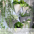 LaLaGreen Wall Planters for Indoor Plants - Image 7