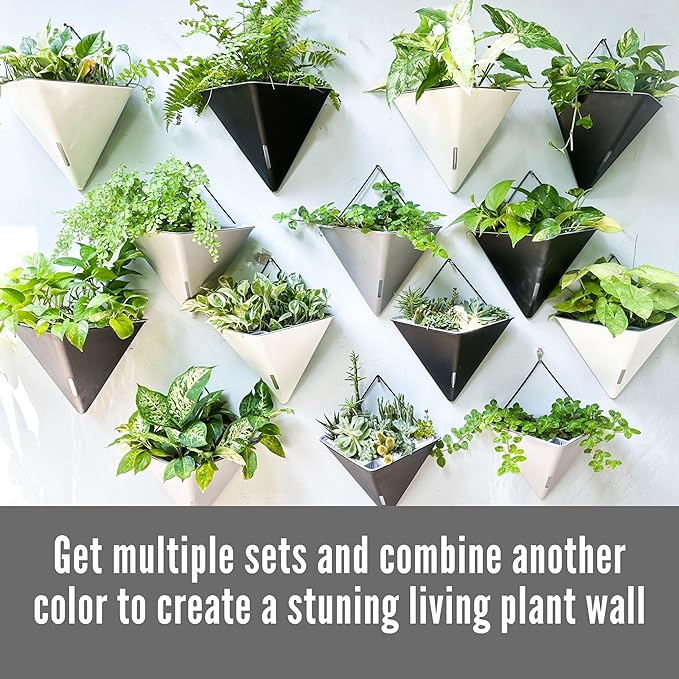 LaLaGreen Wall Planters - Image 7