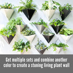 LaLaGreen Wall Planters - Image 6