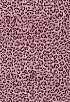 Leopard Print Peel and Stick Wallpaper, Waterproof Removable Self Adhesive - Image 8