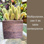 LaLaGreen Wood Planter Boxes for Plants Small Square Wall Mounted Planters for - Image 6