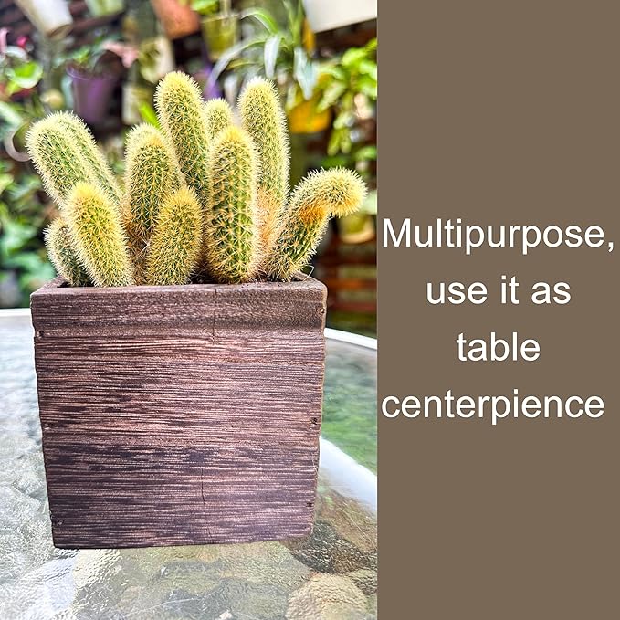LaLaGreen Wood Planter Boxes Small Square Wooden Wall Mounted Flower Pot - Image 6