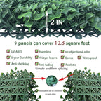 ODTORY Artificial Grass Wall Panels Backdrop: 40"x40" UV-Anti New Bottom Plate - Image 3